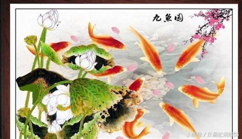 九條魚 風水